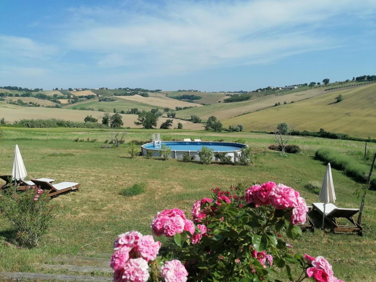 Il Giardino Nella Valle Belvedere Ostrense Eksteriør billede