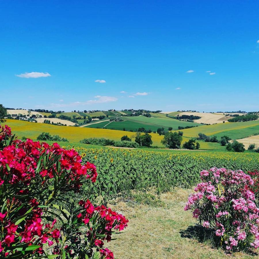 Il Giardino Nella Valle Belvedere Ostrense Eksteriør billede