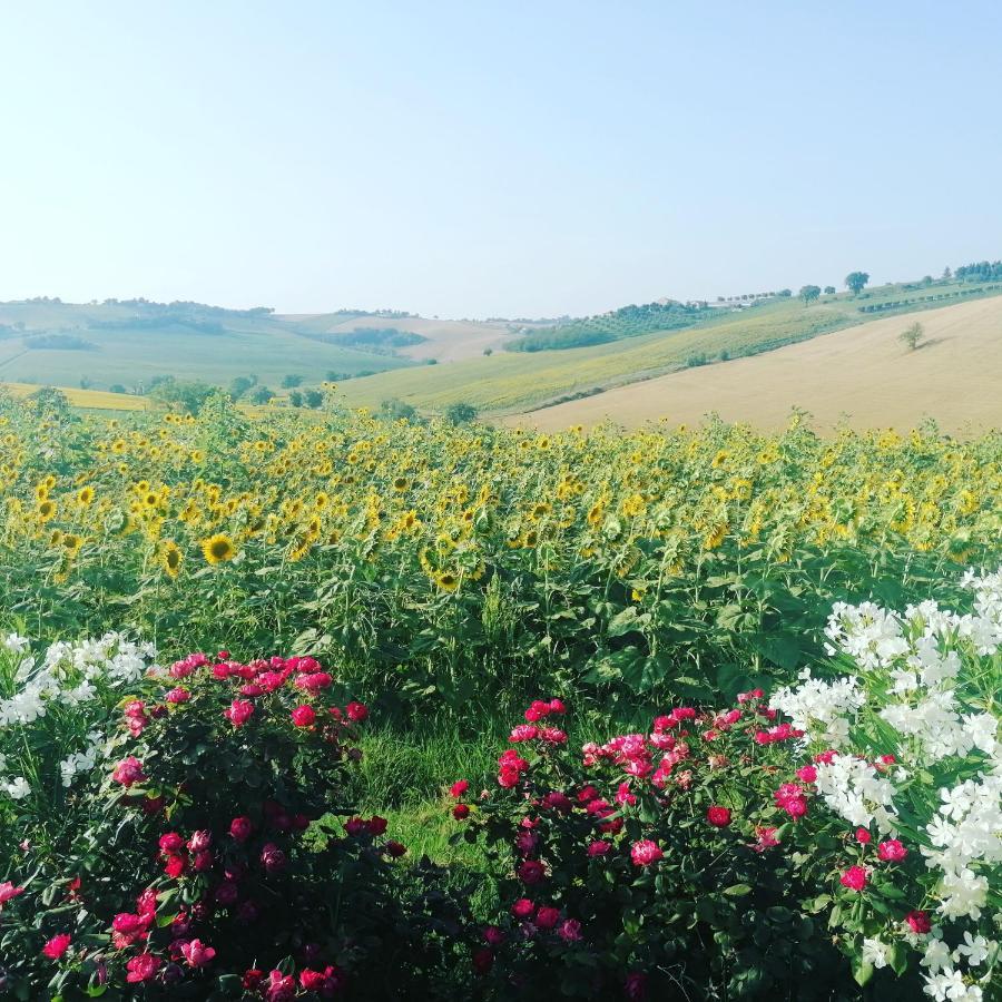 Il Giardino Nella Valle Belvedere Ostrense Eksteriør billede