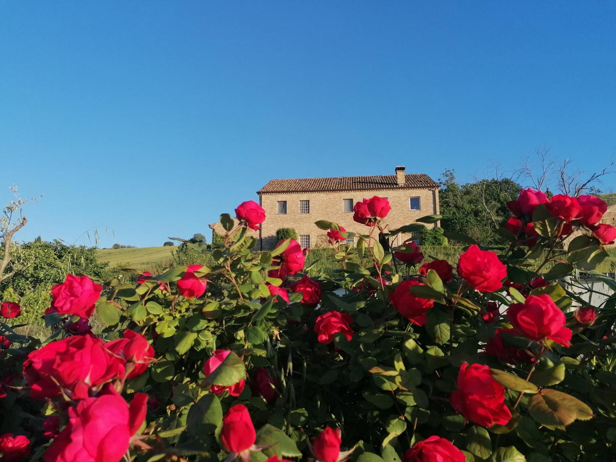 Il Giardino Nella Valle Belvedere Ostrense Eksteriør billede